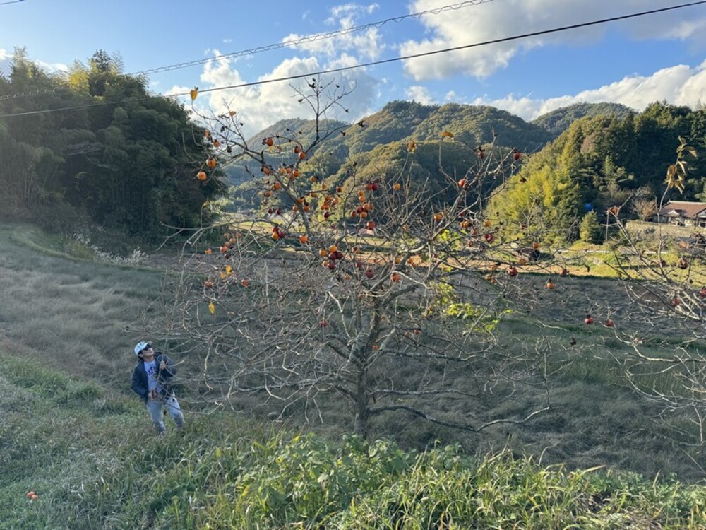 インクルーシブな農業プロジェクト